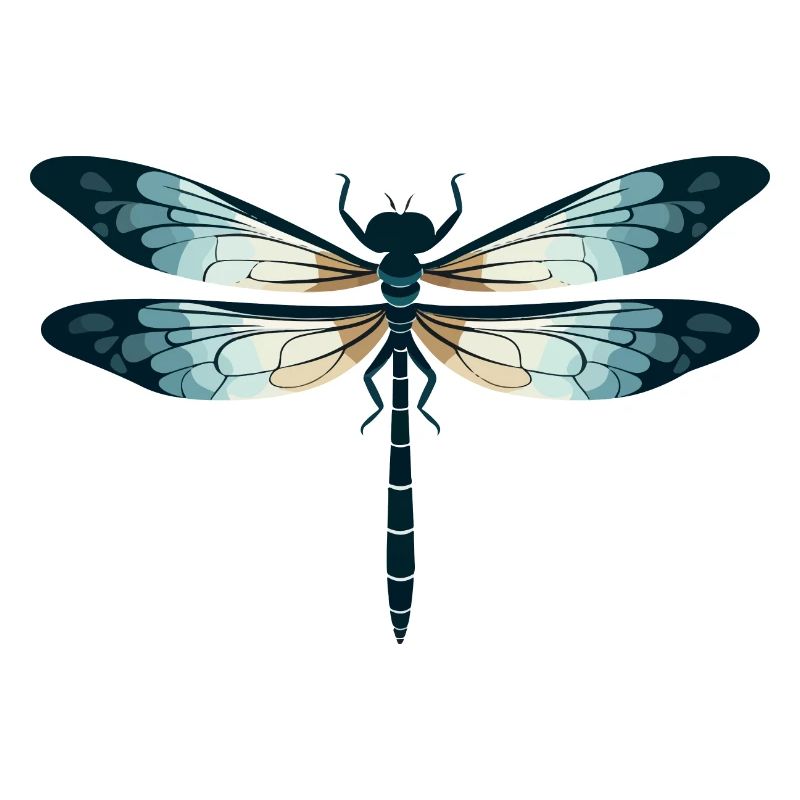 Libellule
