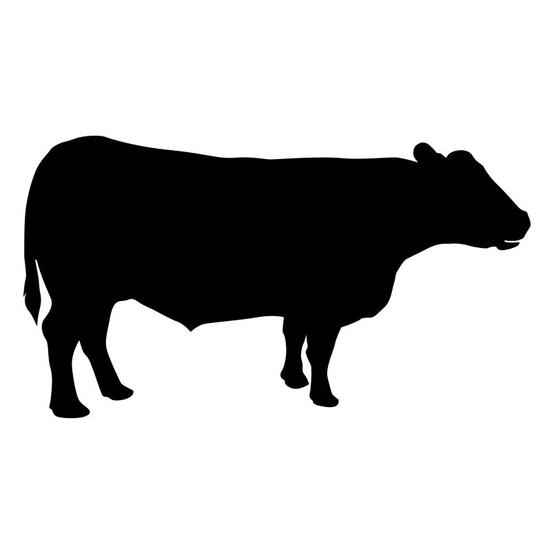 vache