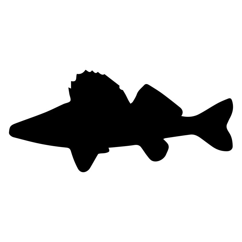 Perche - Sander lucioperca - pêcheur, poisson