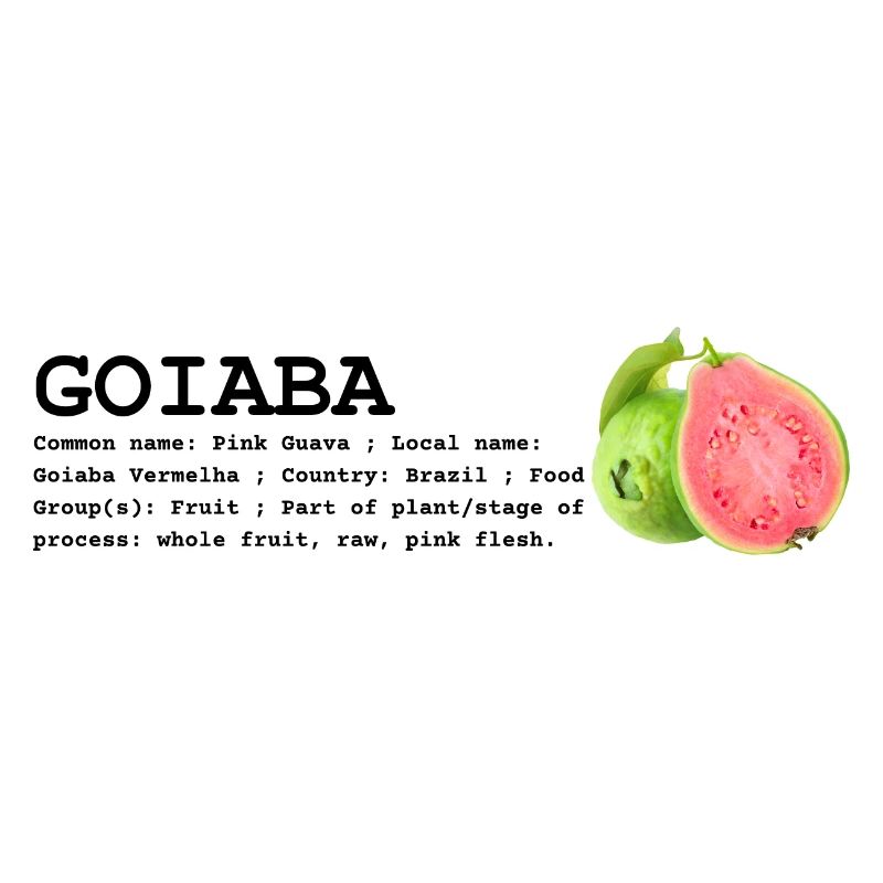 Coleção {Saudade da Terrinha} Goiaba