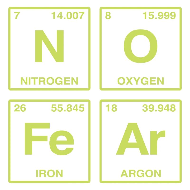 NO FEAR - with elements of the perdiode system
