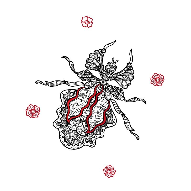 Insecte