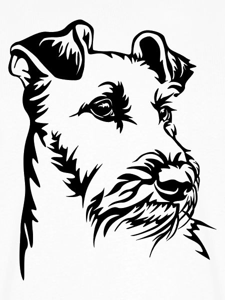 Irish Terrier Kopf
