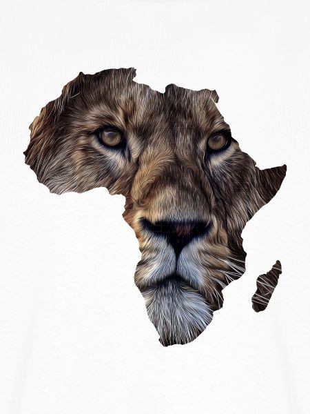 Afrika Löwe