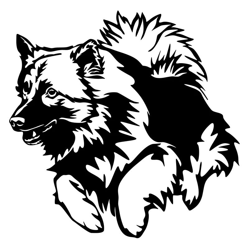 Wolfsspitz