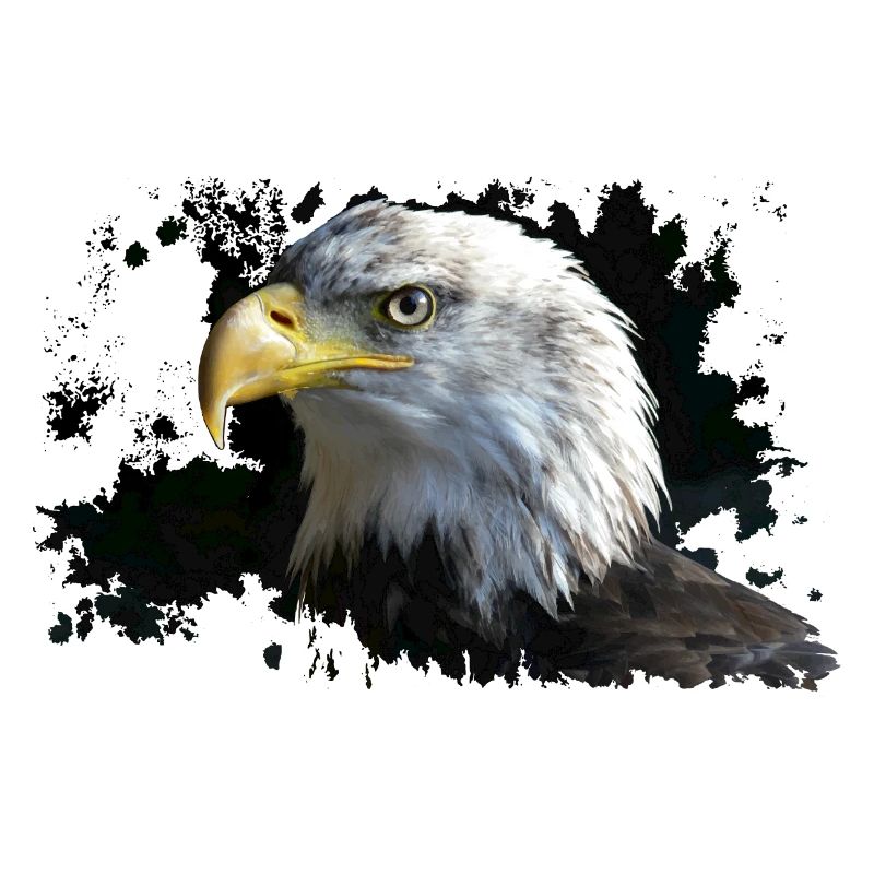 Aigle
