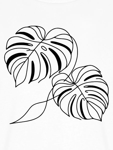 Monstera Zwei Blätter Schwarz