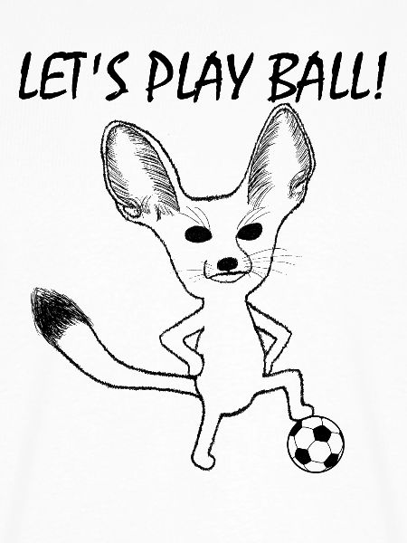 Fennek Let's Play Ball!