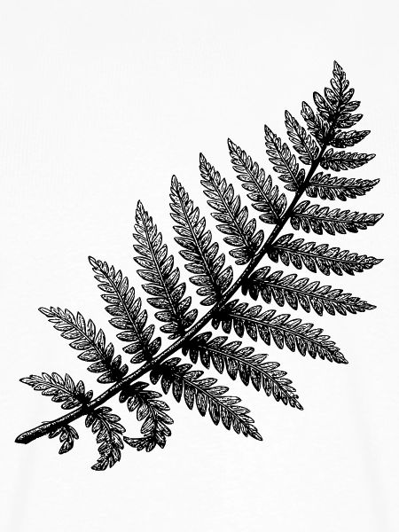 Schwarze abstrakte Blumenillustration