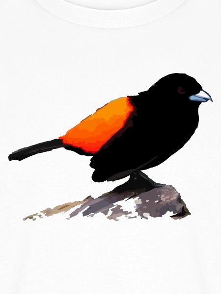 Schwarzes Raben-Orange-Gefieder
