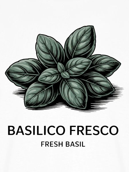 Basilico Fresco – Basilikum