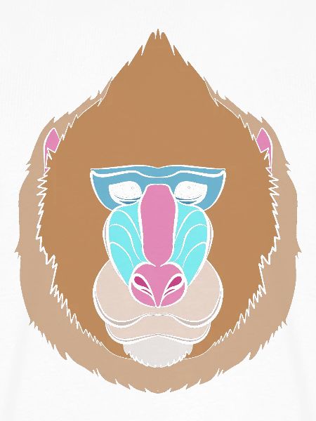 Baboon Pavian Primat Affe Affen
