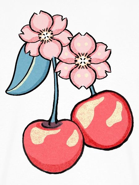 Kirschblüten Charme Illustration