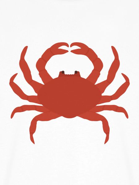 Crimson Crab Silhouette