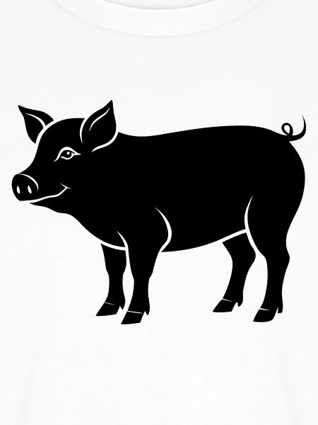 pig