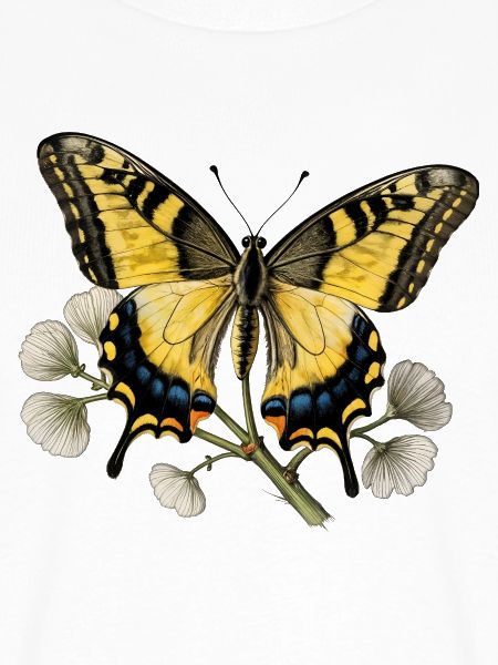 Schwalbenschwanz-Schmetterling – Gravurzeichnung
