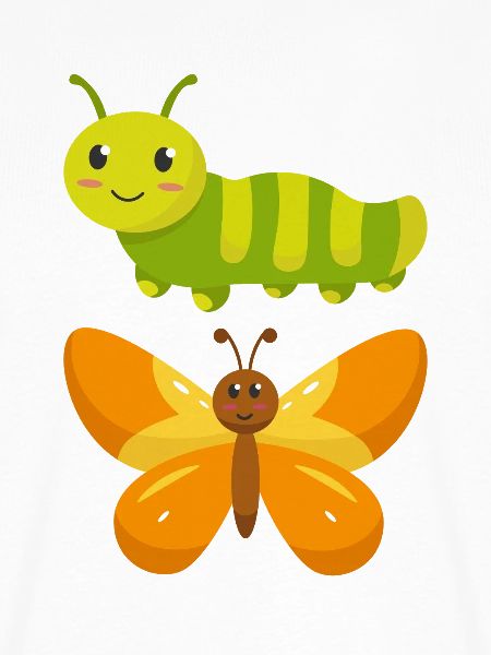 Raupe zu Schmetterling