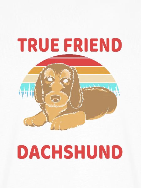 Rauhaardackel Dachshund