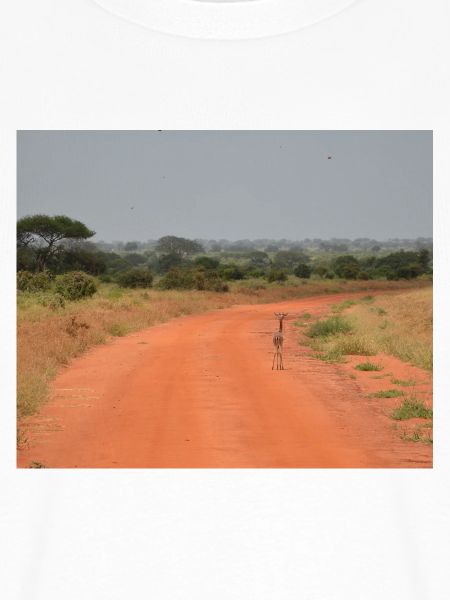 Antilopen auf der Roten Straße