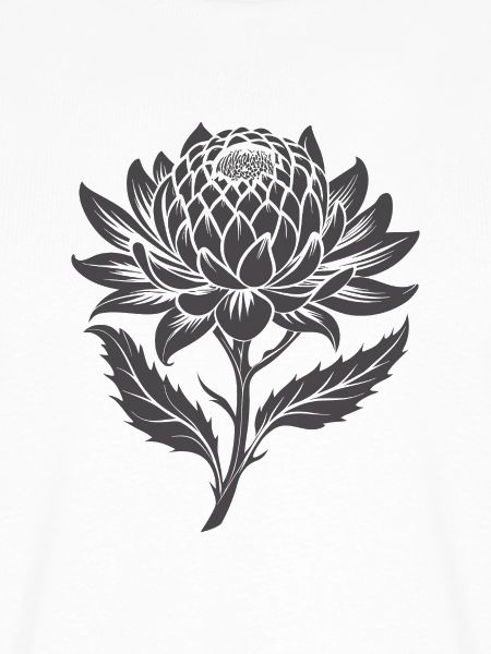 Waratah Australische Blume