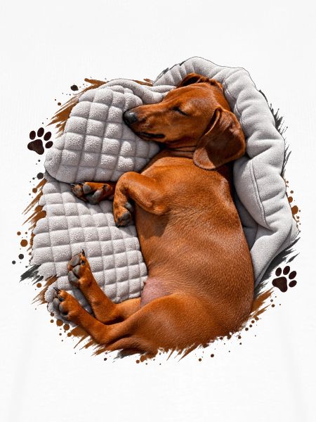 Dackel Kuscheltraum auf Decke