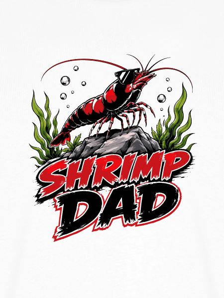 Shrimp Dad Zwerggarnele