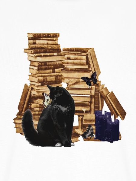 büchser stapel, sitzende katze