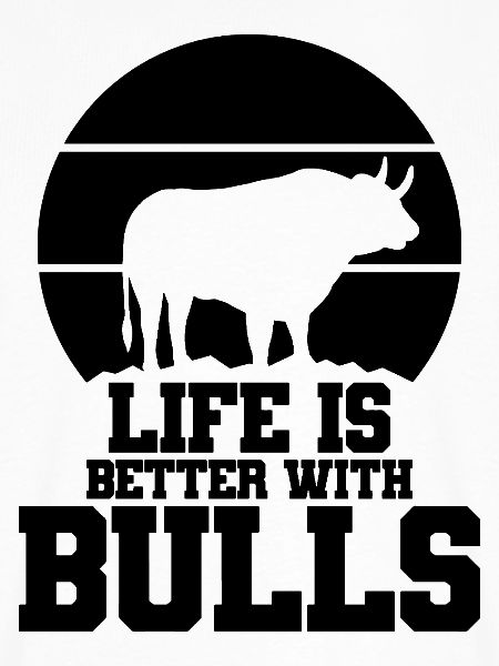 Stier Spruch Humor