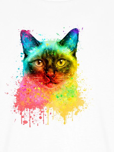 Siamkatze Regenbogen Aquarell Illustration