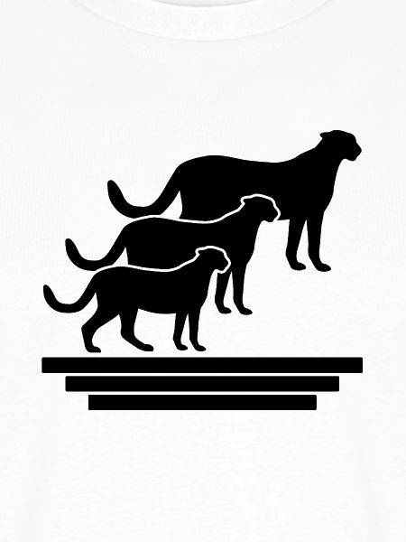 Geparden Trio