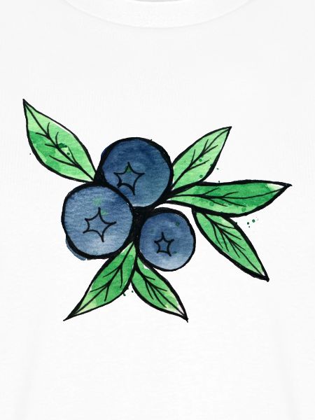 Blaubeer-Aquarellzweige