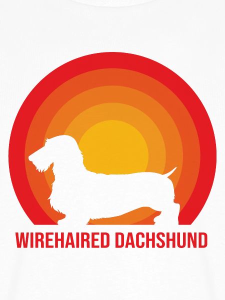 Dachshund Rauhaardackel