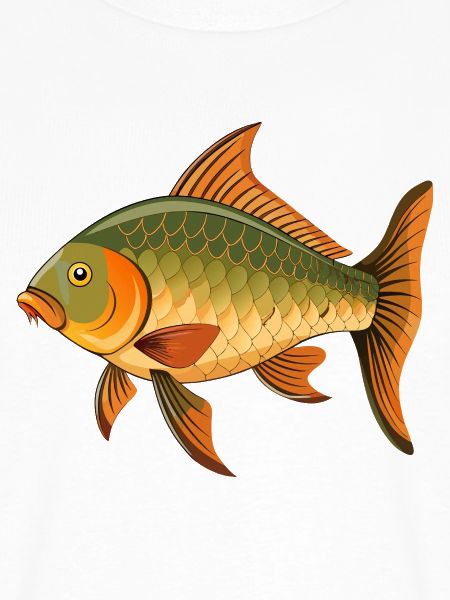 Karpfenfische