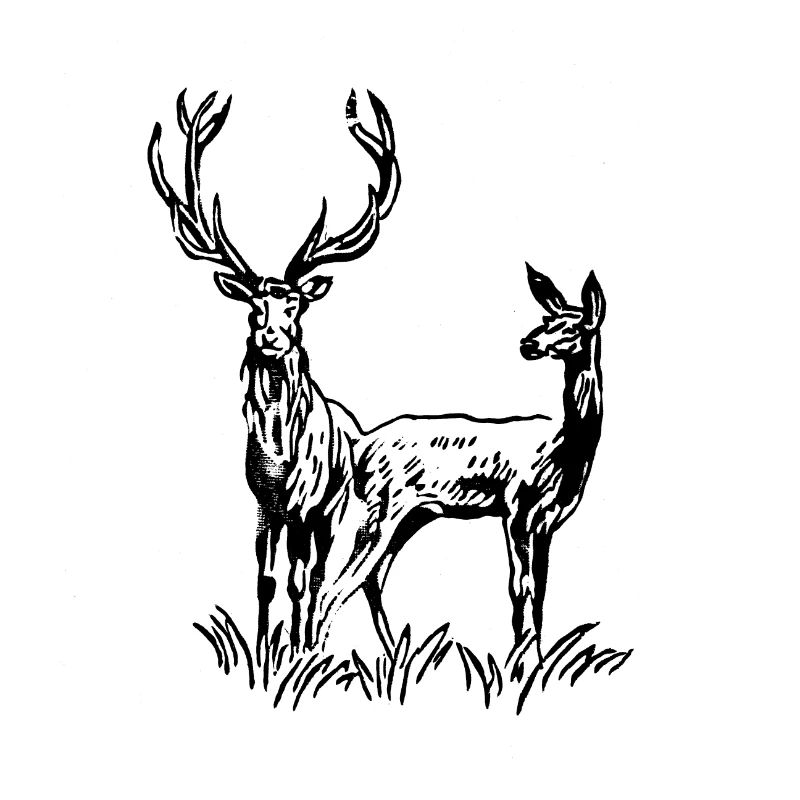 Deer and Roe Deer - Retro Stamp Pattern