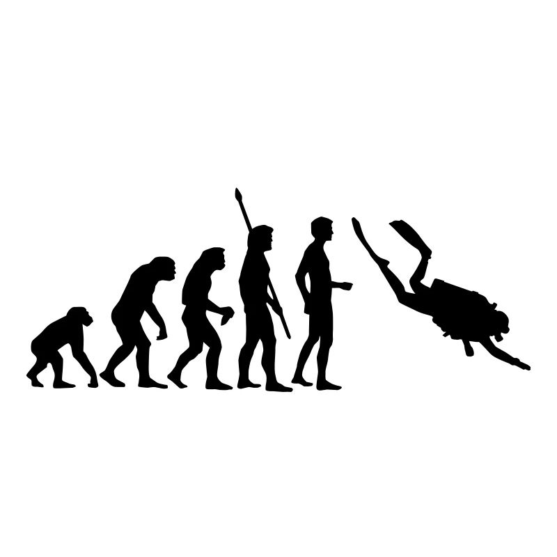 evolution_taucher_c_2c