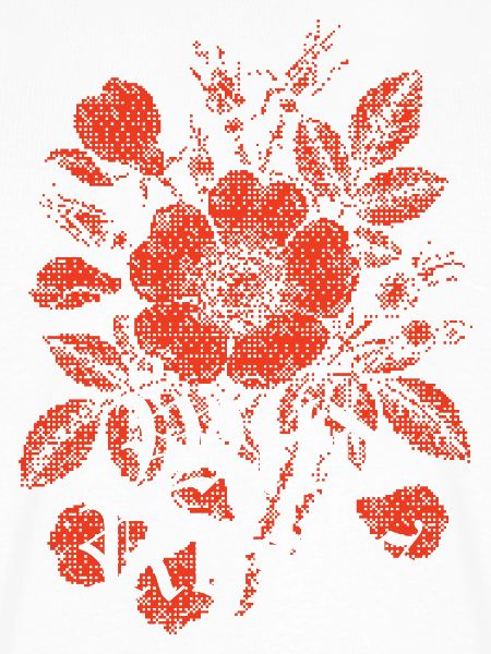 Wildrosen Gotische Blumen