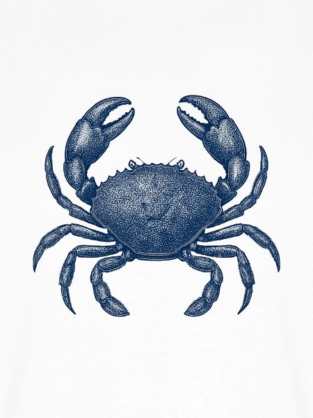 Detaillierte blaue Krabbe Illustration