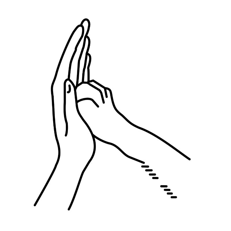 High Five mit Katze/Hund.