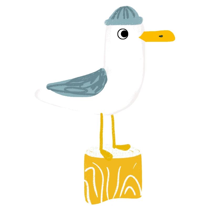 Mouette « Knut »