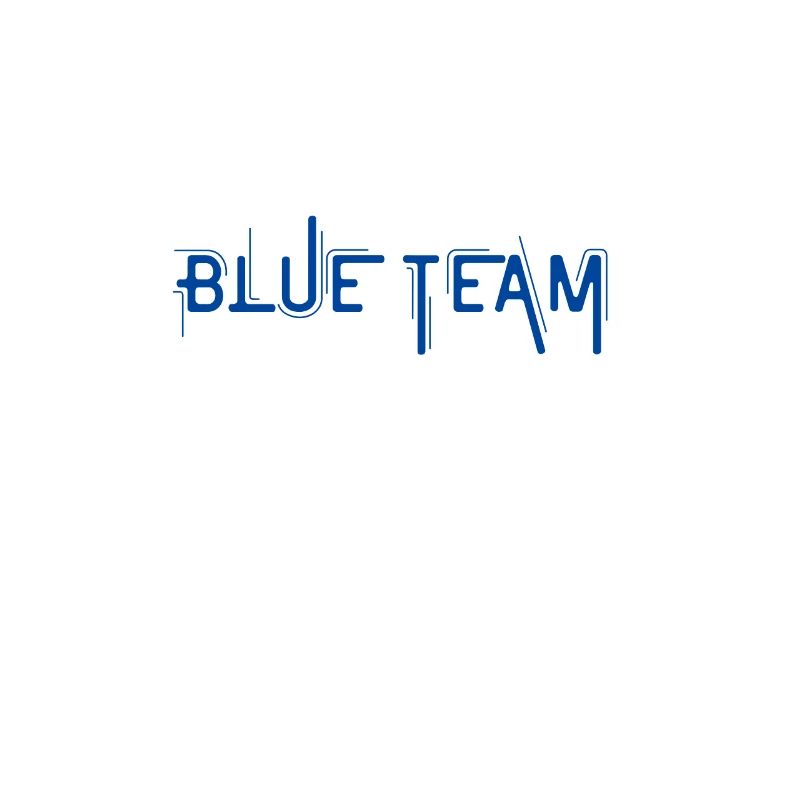 Blue Team Cyber Security Computer Funny Hacking IT