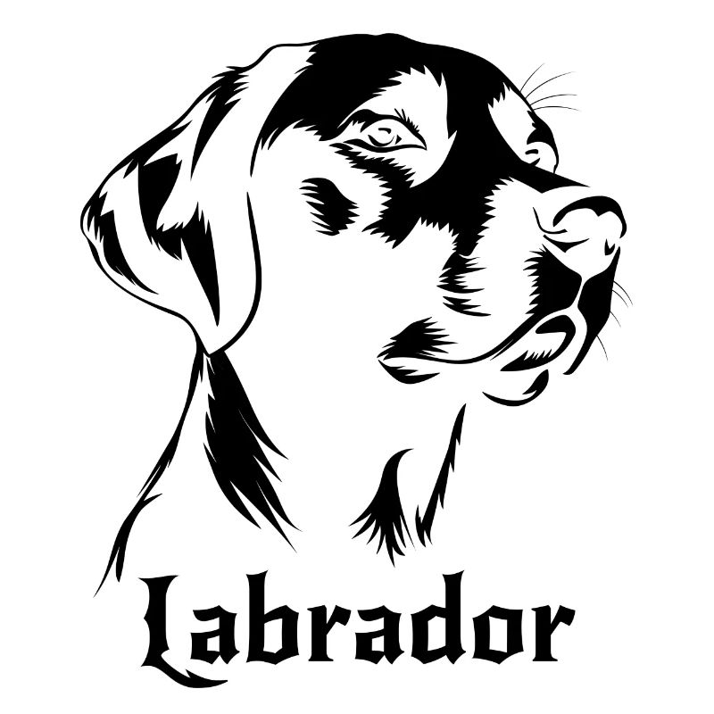 Labrador Retriver Chien le plus vendu