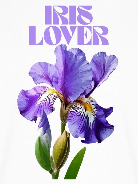 Lila Irisblume Botanisches Design