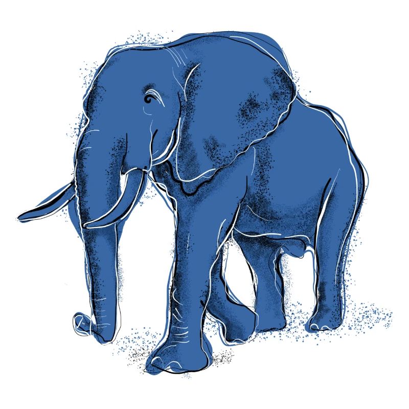Elefant