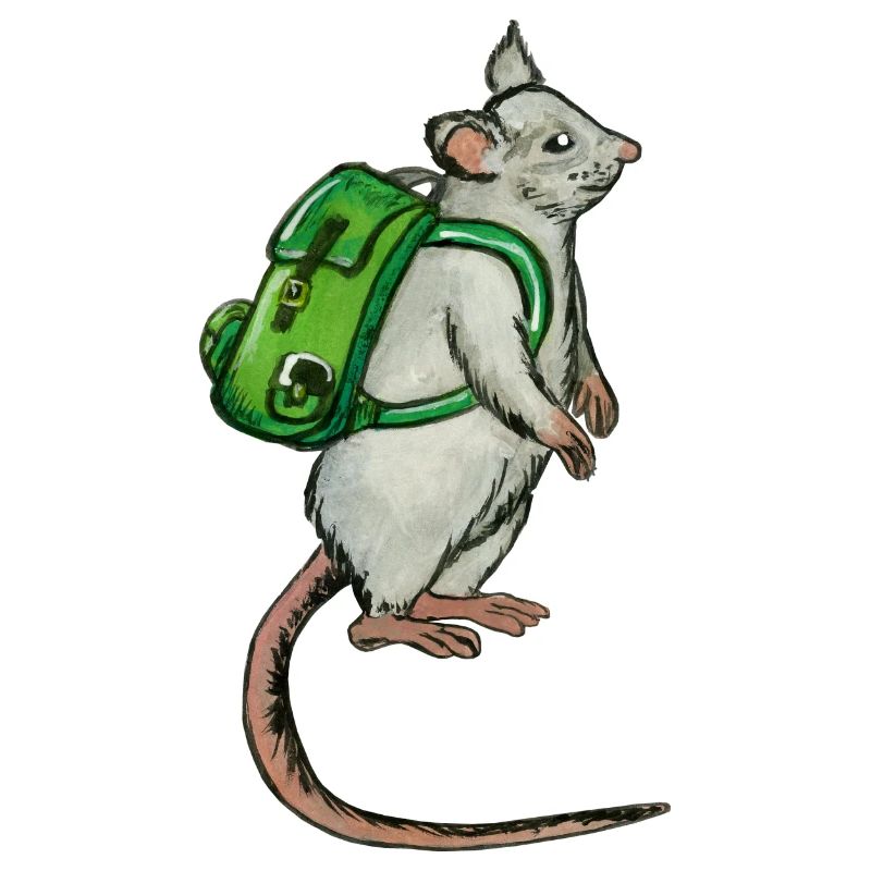 souris sac à dos - backpack mouse - Rucksack-Maus