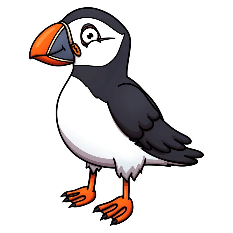 Cute Puffin