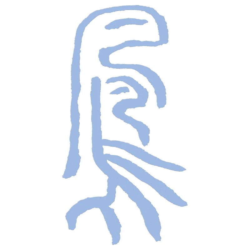 Phoenix - Dans l’ancienne écriture chinoise du ver