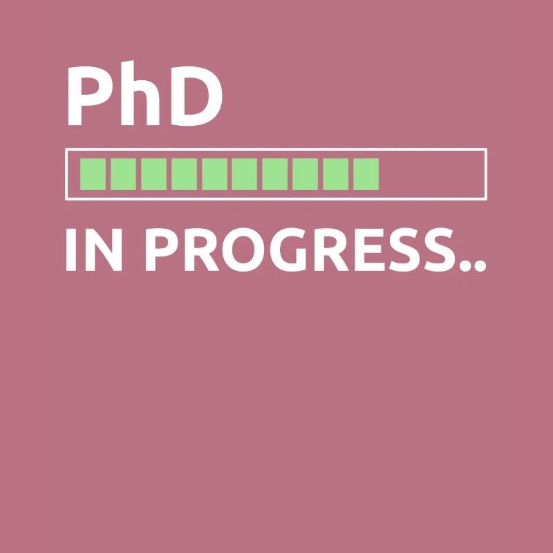 PhD in progress