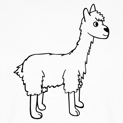 Lama schwarz