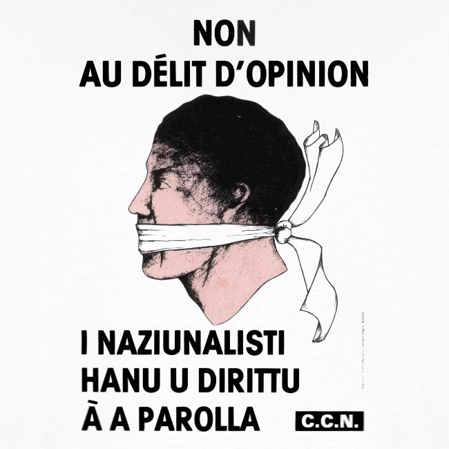 délit opinion