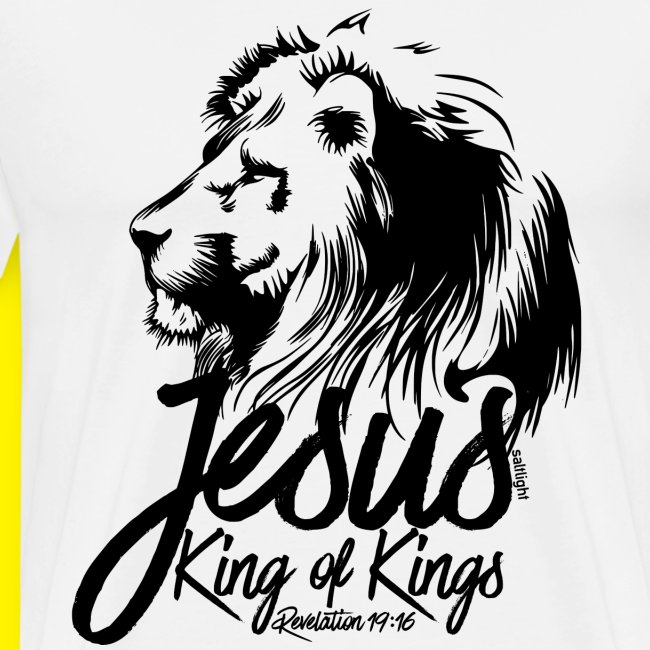 JESUS - KING OF KINGS - Revelations 19:16 - LION